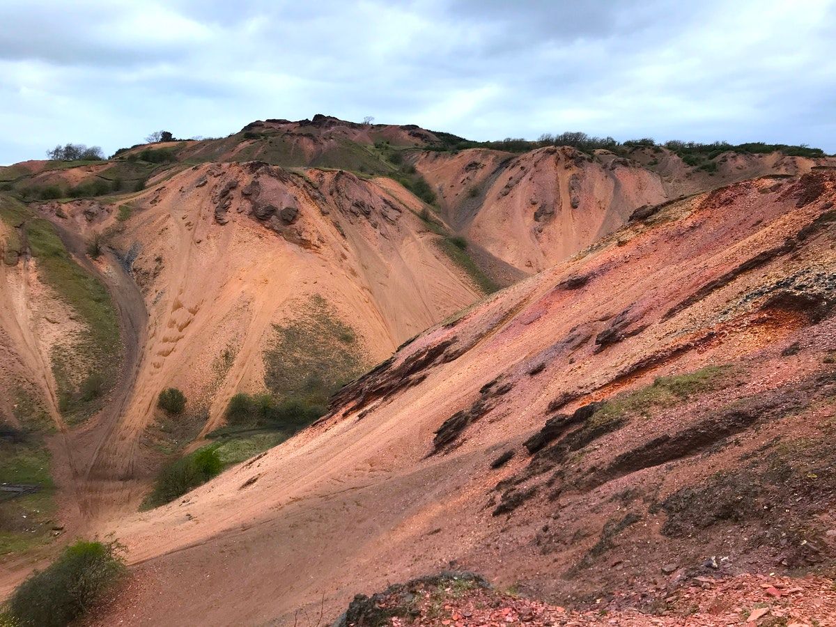 on-the-spoil-heap-where-nature-rises-from-the-wreckage